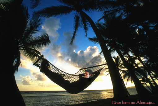 Um sonho............